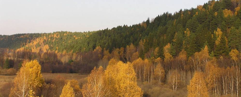 
            Фотография Новоселов