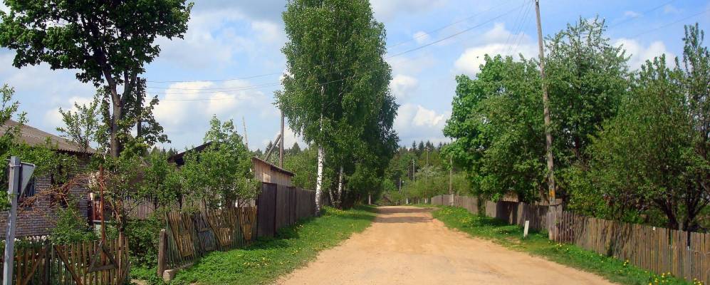 
            Фотография деревни Плиговки