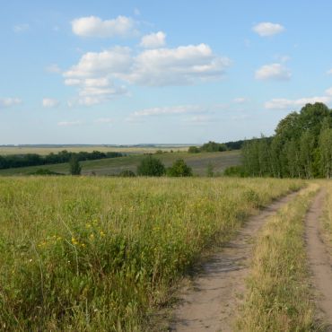 Карповское