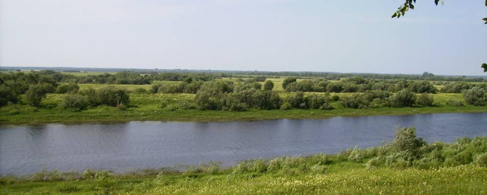 
            Фотография Новгородской