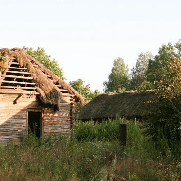 Спичеватое