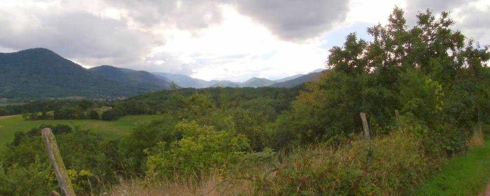 
            Фотография Saint-Pierre-Bois