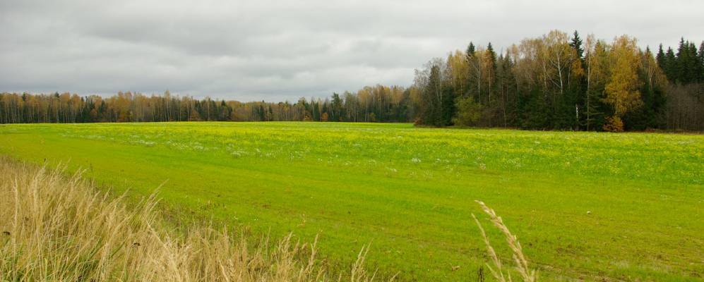 Марково Петушинский район