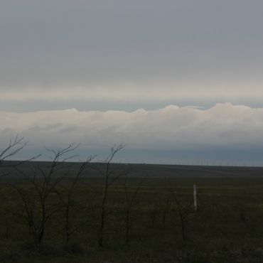 Колоски