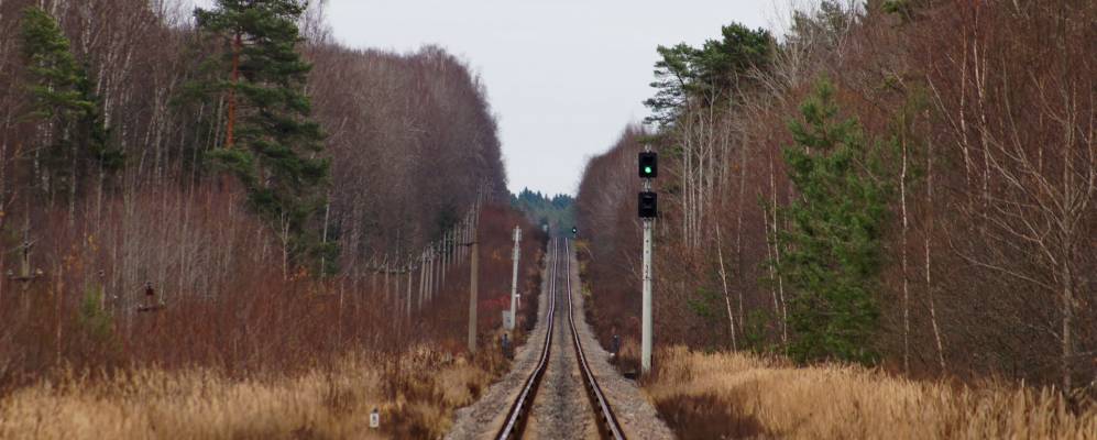 
            Фотография Шибаевки