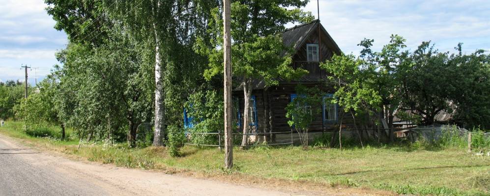 Пригородная волость. Деревня горки Псковская область. Деревня Лосно Пустошкинский район. Пустошкинский район деревня Алушково. Деревня горки Псковская волость Псковский район.