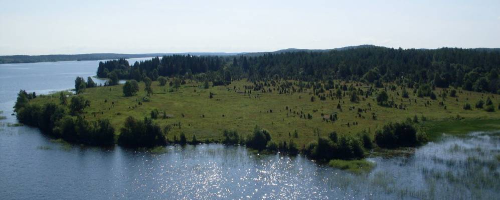 
            Фотография Бора Пуданцева