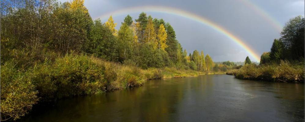 
            Фотография Фоминского