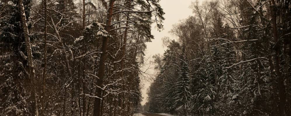 
            Фотография Большого Сареево