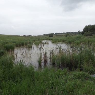 Городенец