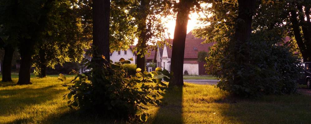 
            Фотография Malšice