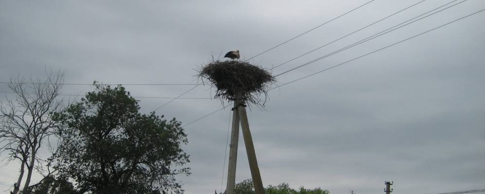 
            Фотография Подола