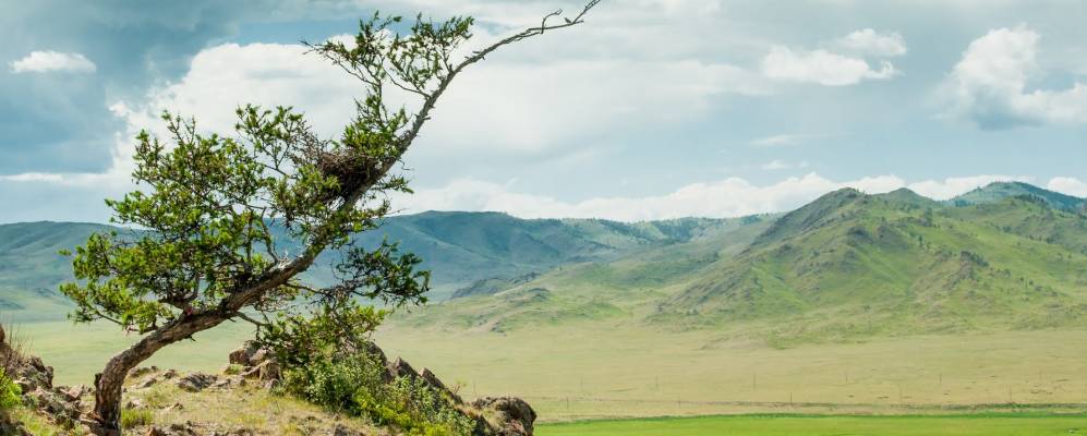 
            Фотография Пуланколя