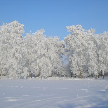 Целинный