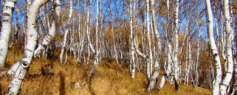 
            Фотография Сергеевки