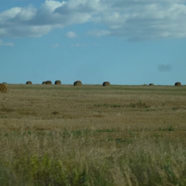 Янево