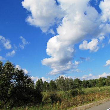 Белгородское