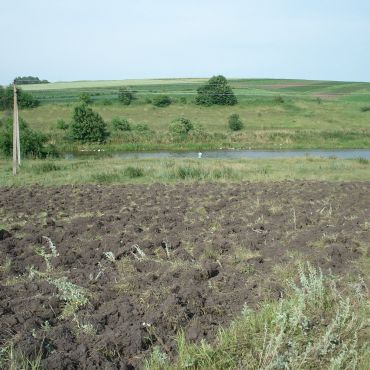 Малая Березовица