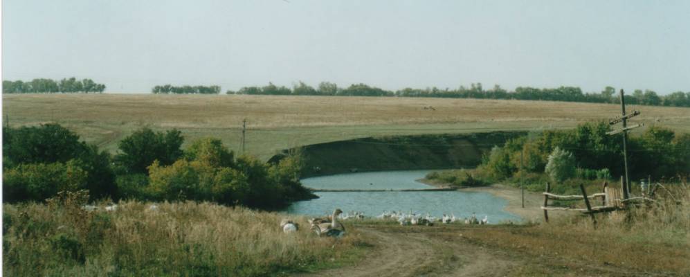 Амо новоаннинский