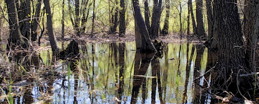 
            Фотография деревни Бижеревичи