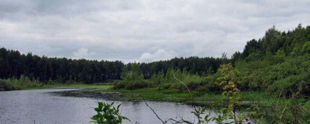 
            Фотография Ануфриевской Слободы