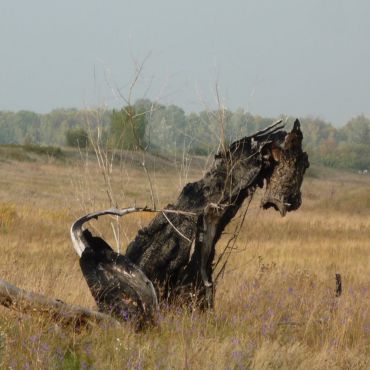 Северный