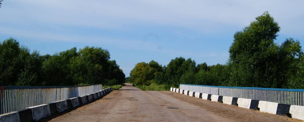 Дмитриевка саратовская. Село Дмитриевка Саратовской области Турковский район. Шепелевка Турковского Саратовской. С. Дмитриевка Саратовская область Турковский район. Деревня Андреевка Турковский район.