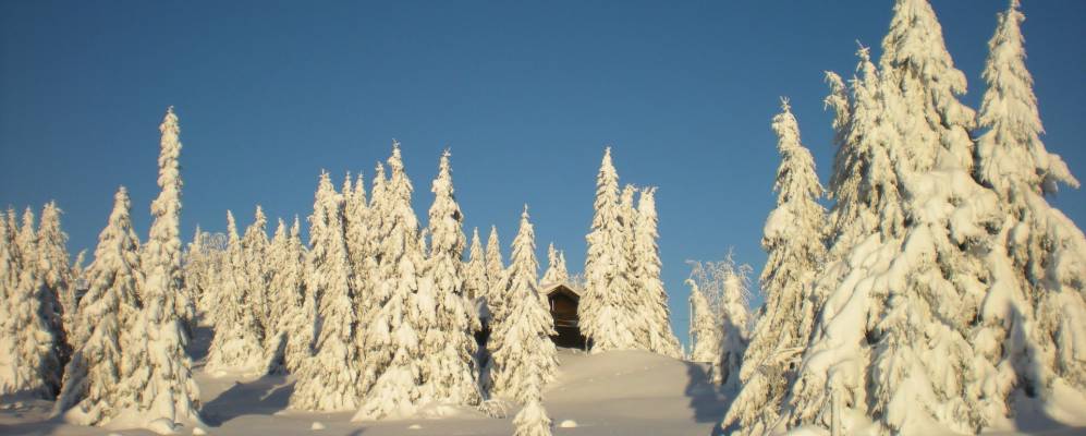 
            Фотография Sjusjøen