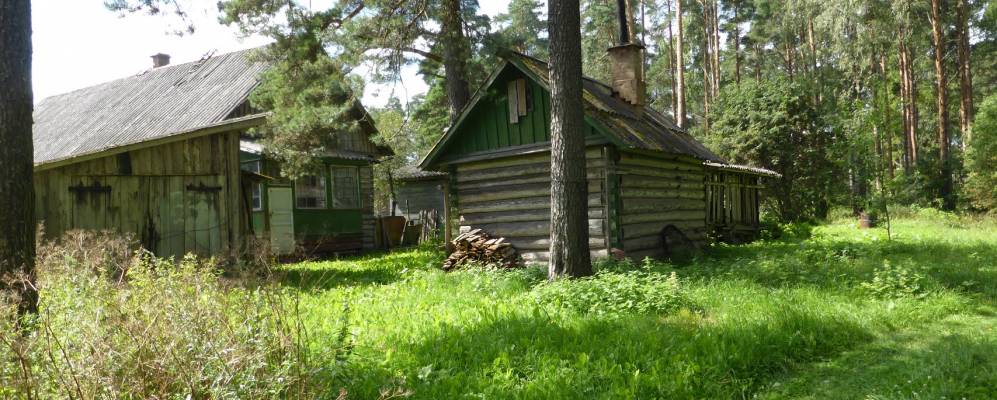 Деревня мерево лужский район фото