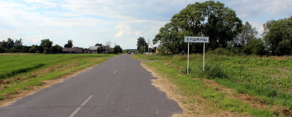 Деревня Николаево Каменецкий район