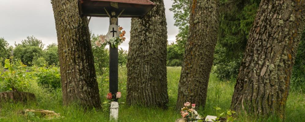 
            Фотография деревни Нивки