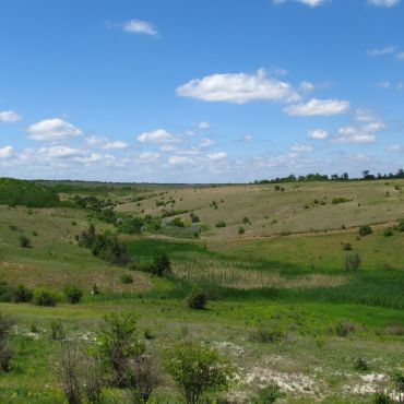 Березнеговатское