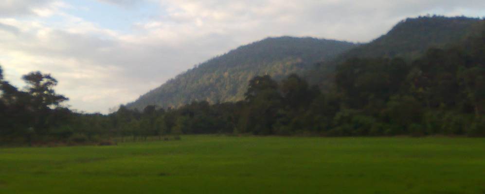 
            Фотография Kampong Bendang Man