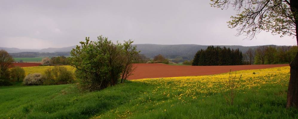 
            Фотография Horní Heřmanice