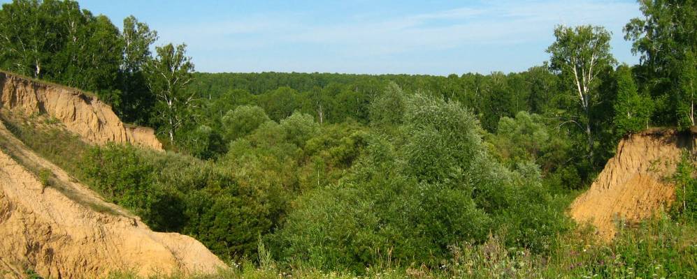 Черепановский новосибирская область. Село Бураново Черепановский район. Бураново Новосибирская область Черепановский район. Села Черепановского района Новосибирской области. Село Бураново Черепановский район водопад.