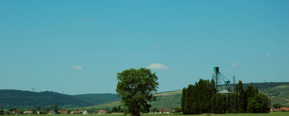 
            Фотография Saint-Bernard