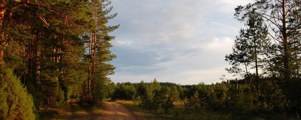 
            Фотография Емельянцево