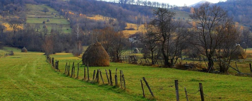 
            Фотография Валеа Дрыганулуи