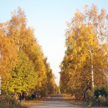 Капустин