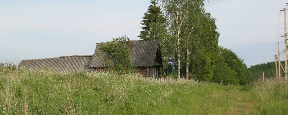 Сельско новгородская область. Сосницы Валдайский район. Демянский район Новгородской области деревни. Деревня Сосницы Валдайский район. Новгородская область Демянский район Сосницы.