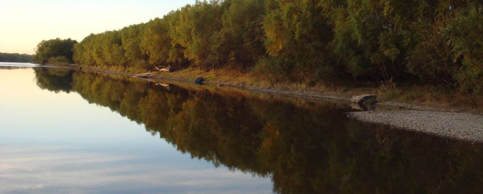 
            Фотография Подгородного