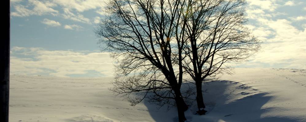 
            Фотография Dubeninki