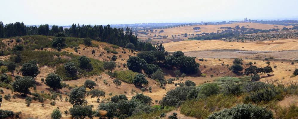 
            Фотография Monte das Docetas