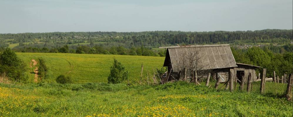 
            Фотография Железово