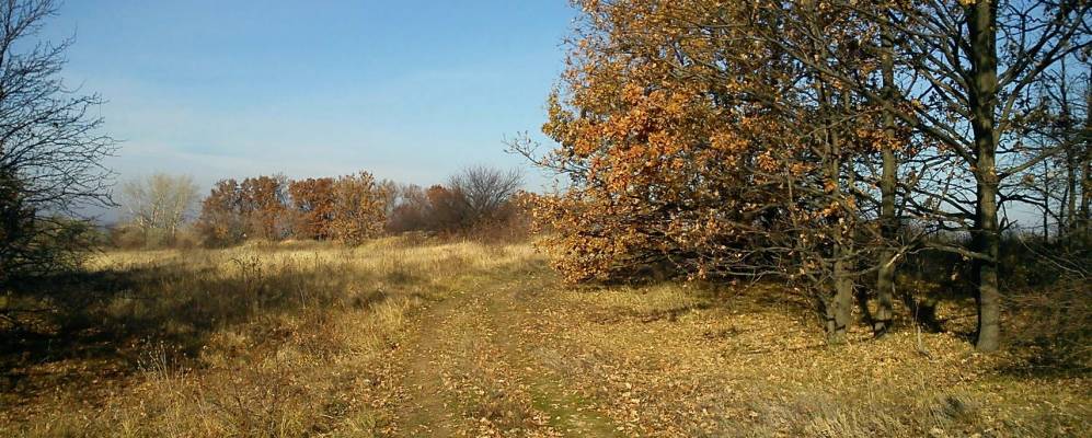 
            Фотография Сухой Каменки