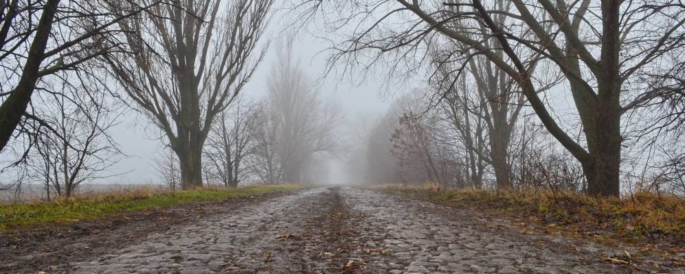 
            Фотография Малой Березянки