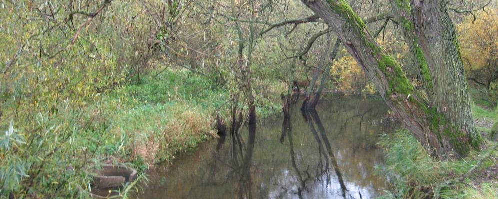 
            Фотография Подорожного