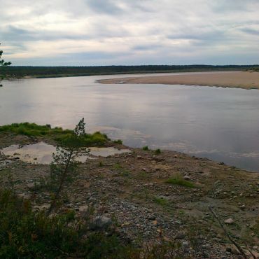 Петрунинская