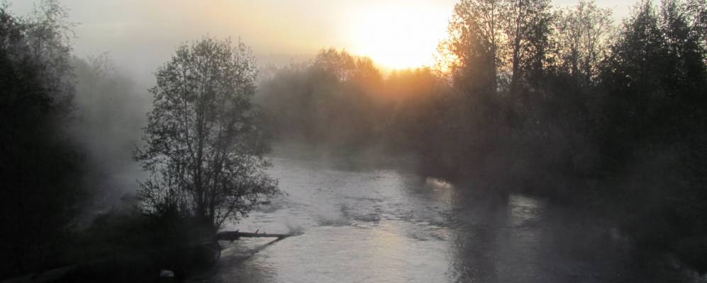 
            Фотография Пальцево