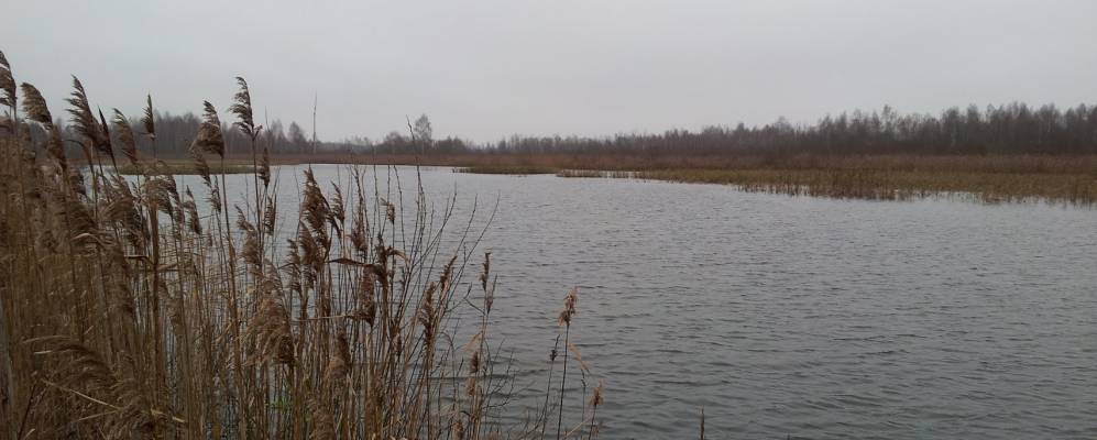 
            Фотография деревни Тажиловичи